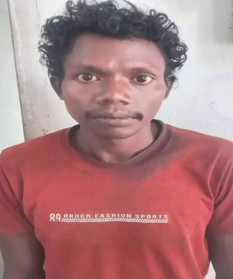 Raigarh Breaking:पत्नी की पीट-पीटकर हत्या, पति गिरफ्तार