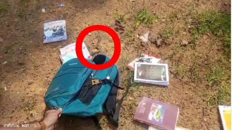 CG:बच्ची के स्कूल बैग से निकला नाग..देखे