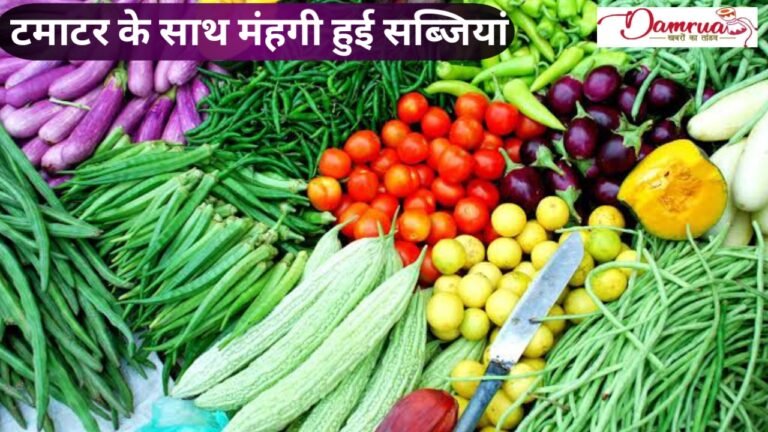 CG News:टमाटर ने रुलाया अब सब्जियों के दाम भी आसमान छूने लगे