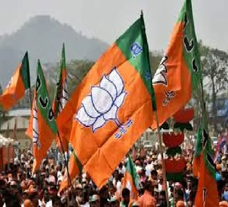 CG News:Bjp के कई नेताओं को महाराष्ट्र और झारखंड में प्रचार की जिम्मेदारी