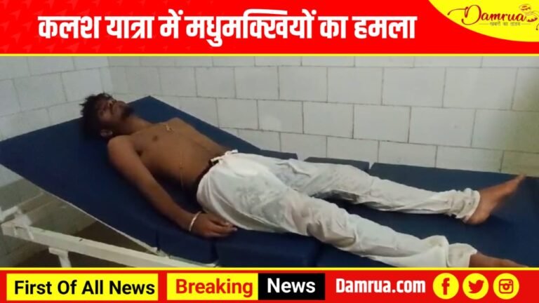 Sarangarh Breaking news:कलश यात्रा में मची भगदड़,मधुमक्खियों के झुंड ने किया हमला