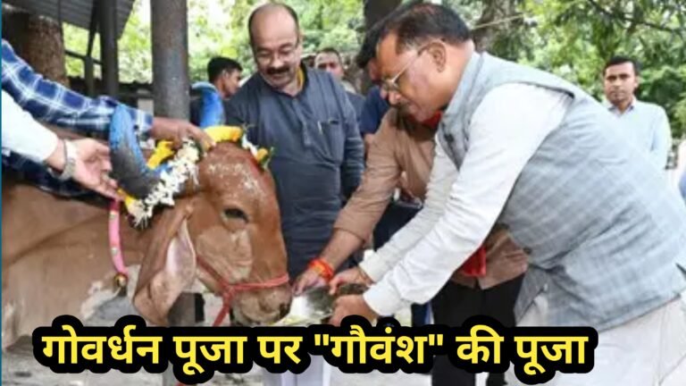 मुख्यमंत्री साय ने गोवर्धन पूजा पर गौवंश की पूजा की, प्रदेशवासियों की सुख-समृद्धि की कामना