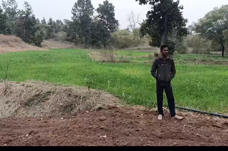 उजड़ता जंगल कुम्भकरणी निर्दा में वन विभाग प्रशासन गिरदावली और सत्यापन बना पटवारियों के कमाई का जरिया 