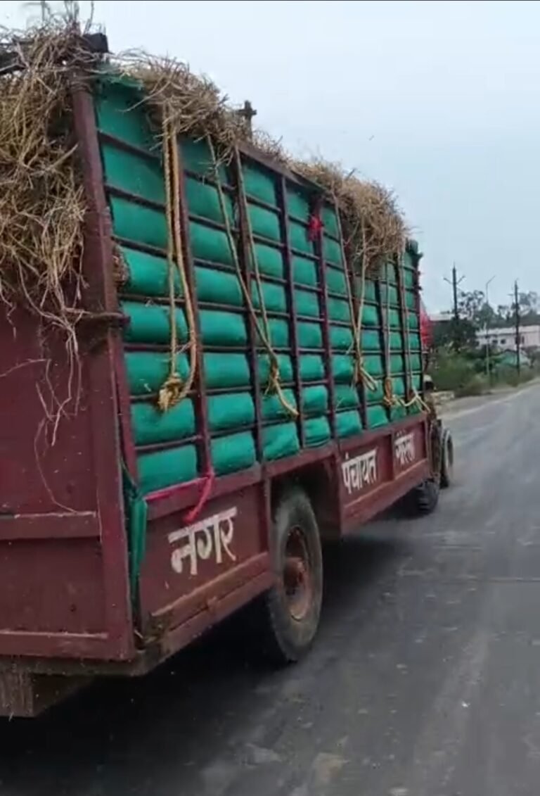 नगर पालिका गौरेला का नया कारनामा. काऊ कैचर का हो रहा निजी कार्यों मे दुरपयोग