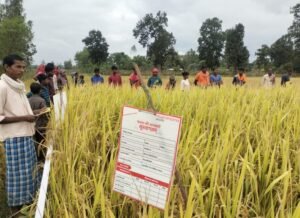 Screenshot 2025 11 10 07 45 25 04 6012fa4d4ddec268fc5c7112cbb265e7