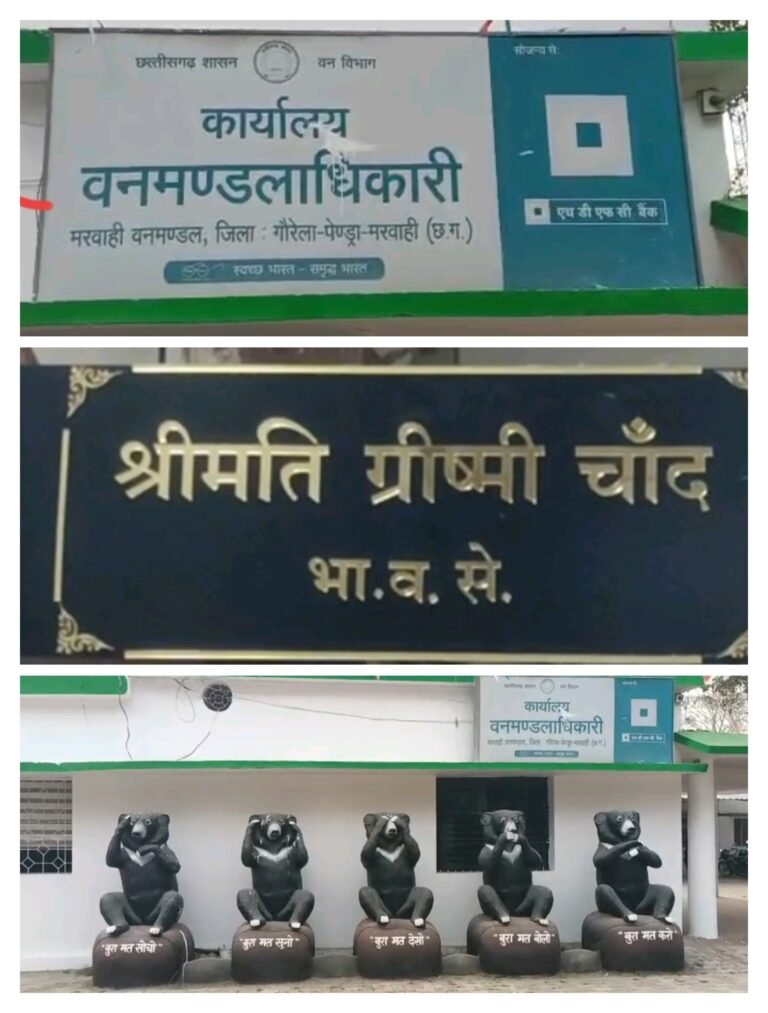 मरवाही वनमंडल अधिकारी ग्रीष्मी चाँद की ताबड़तोड़ कार्रवाई, पिपरखुटी में मिला साल का जखीरा